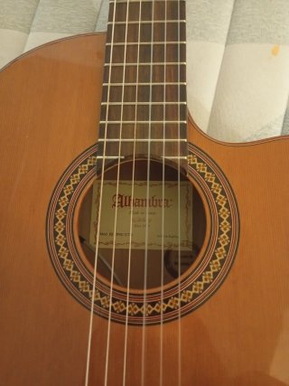 Guitarra Flamenca Alhambra Autoamplificada