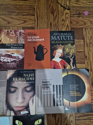 Lote de libros de literatura universal
