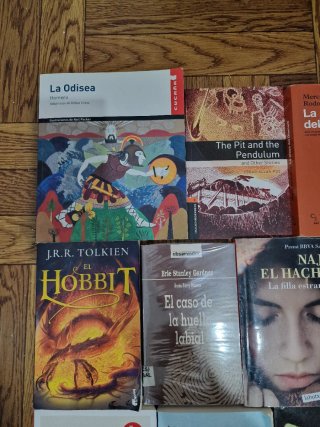 Lote de libros de literatura universal