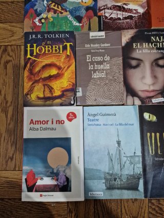 Lote de libros de literatura universal
