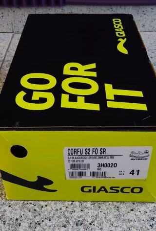 Zapatos de trabajo Giasco