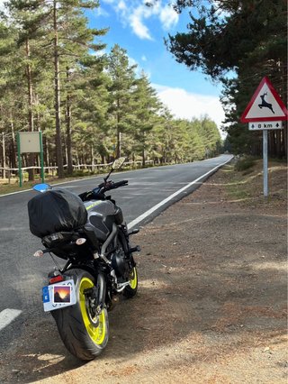 Yamaha MT-09 2017 con Akrapovic