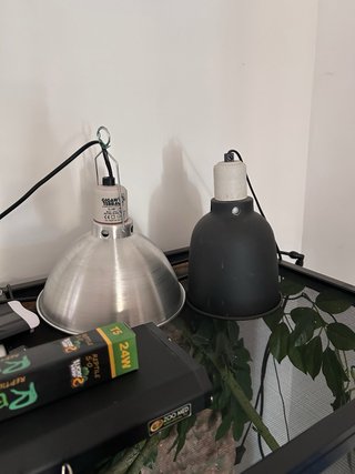 2 Terrarios de Malla para Camaleones