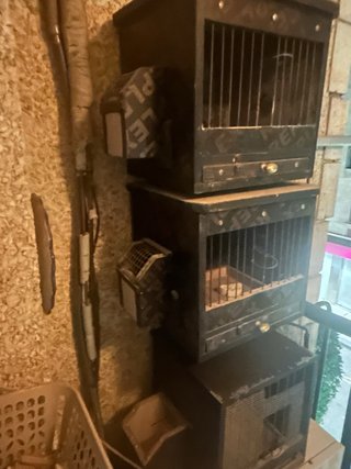 Jaula para pájaros negra y marrón