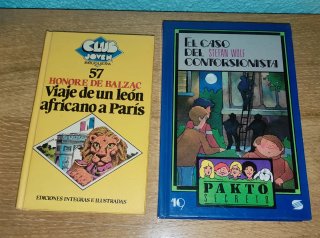 Lote 12 Libros Literatura Juvenil, Infantil Vintag