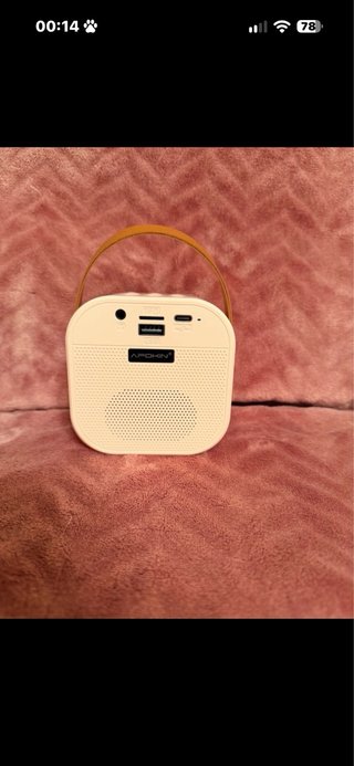 Altavoz Karaoke APOKIN con Micrófono SPE K12