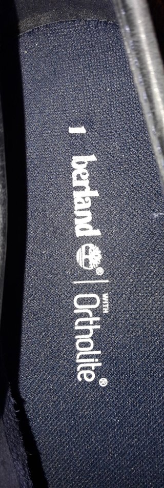 Zapatos Timberland Azules
