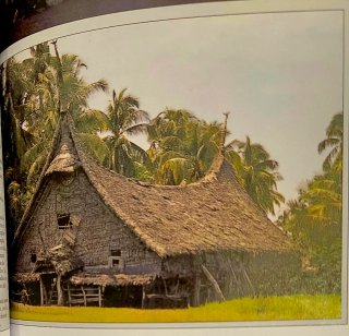 Libro "Australia, Nueva Zelanda y Pacífico Sur"