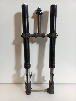 Horquilla Benelli BN 125 de 2024