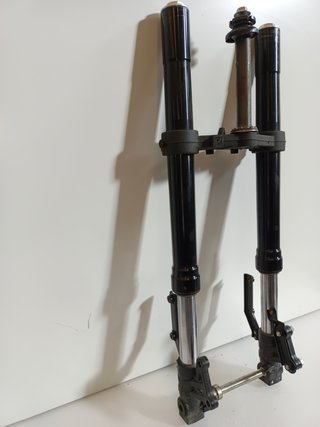 Horquilla Benelli BN 125 de 2024