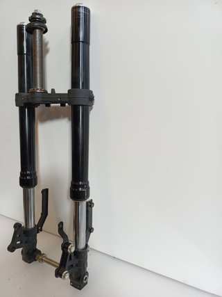 Horquilla Benelli BN 125 de 2024