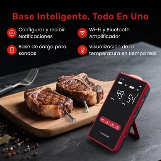 NUEVO! Termómetro Inalámbrico X Pro