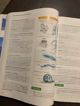 Biología, Geología y Ciencias Ambientales 1 Bac...