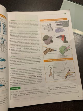 Biología, Geología y Ciencias Ambientales 1 Bac...