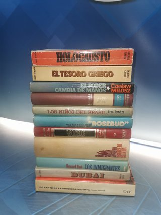 11 novelas BEST SELLERS, Los inmigrantes, Dubai, Rascacielos, De parte de la princesa muerta Y MAS..
