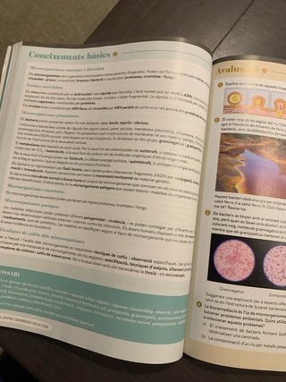 Biologia, Geologia i Ciències Ambientals, 1 Bat...