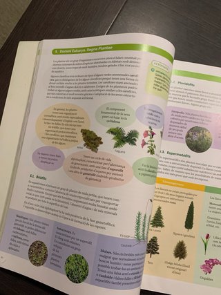 BIOLOGIA, GEOLOGIA I CIENCIES AMBIENTALS 1 BTX ...