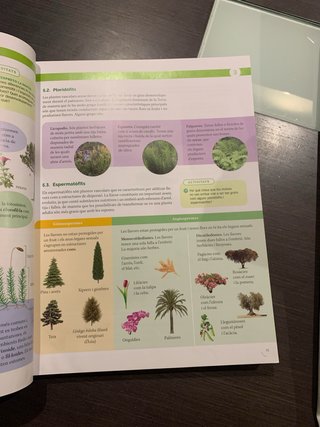 BIOLOGIA, GEOLOGIA I CIENCIES AMBIENTALS 1 BTX ...