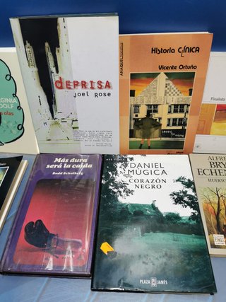 11 novelas contemporáneas, Adosados, Historia clínica, Deprisa, Huerto cerrado, Mas dura sera la caída y mas...