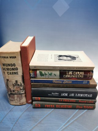 9 LIBROS, NOVELAS, NUEVOS DOSES, DON DE LENGUAS, LOS CURAS COMUNISTAS, CALLE KATALIN y mas