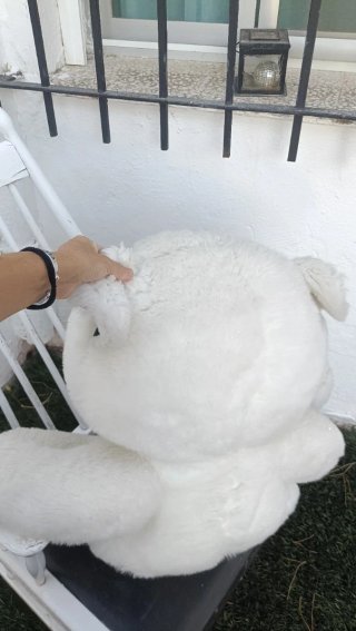 Oso de peluche gigante blanco
