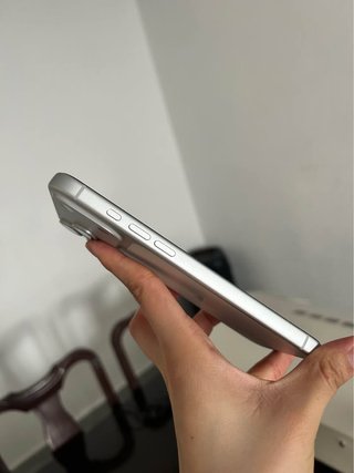 iPhone 17 Pro Max 256GB Plata