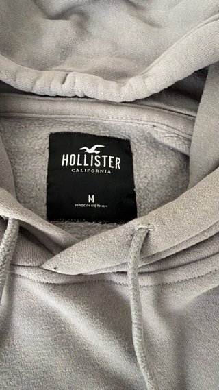 Sudadera Hollister