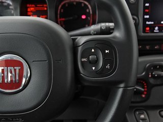 Fiat Panda PANDA 1.0 MHEV CITY LIFE 5P