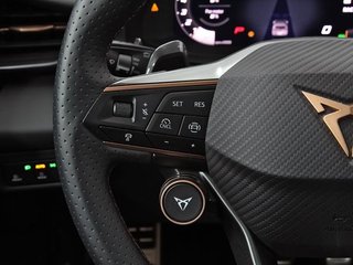 Cupra Terramar TERRAMAR 2.0 TSI 204CV DSG 4WD BEYOND