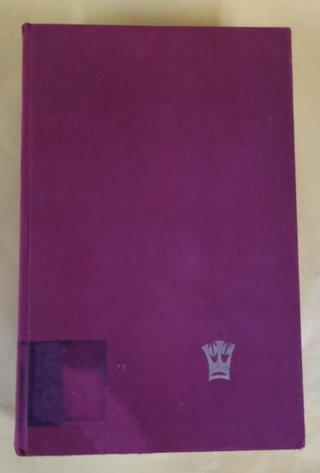 Novela de ficción LOS TESTIGOS de M.W. Waring