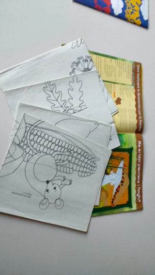 Set 2 riviste Stella decorazioni e bricolare vinta