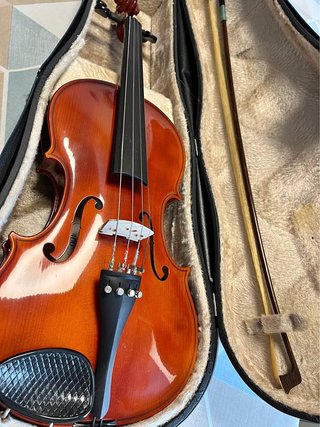 Violín con funda