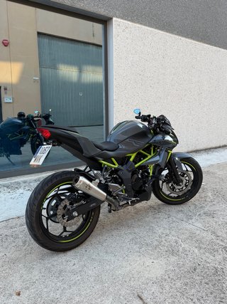 Kawasaki Z125 2024 Gris/Verde