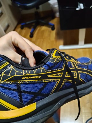 Zapatillas Asics Endurant