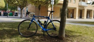 Bicicleta de Carretera Pinarello F3:13