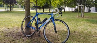 Bicicleta de Carretera Pinarello F3:13