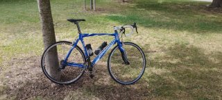 Bicicleta de Carretera Pinarello F3:13