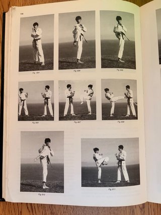 Libro Camino Práctico de las Artes Marciales
