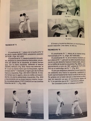 Libro Camino Práctico de las Artes Marciales