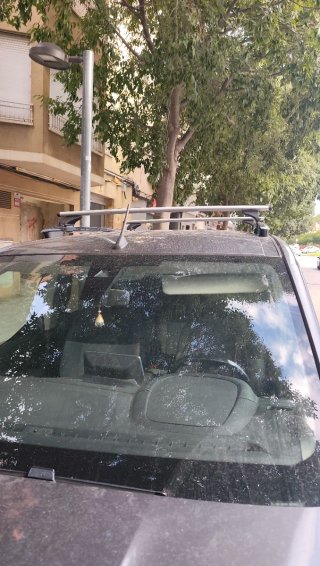 VACA CRUZ CITROEN BERLINGO
