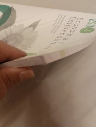 Economía y emprendimiento 4º ESO
