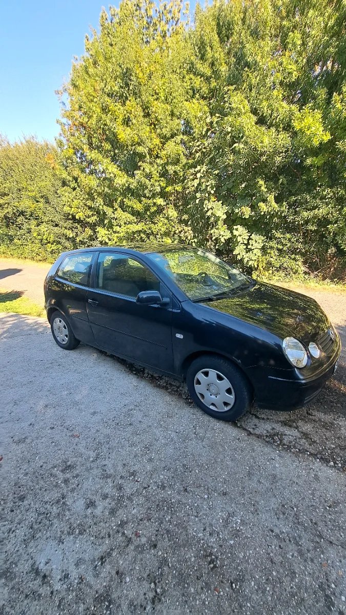 Volkswagen Polo 2004, foto 2
