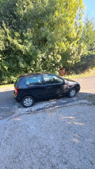 Volkswagen Polo 2004