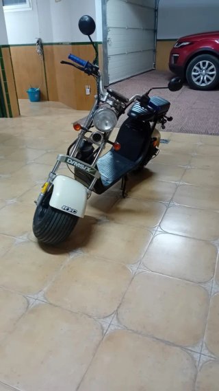 Citycoco 49cc