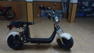Citycoco 49cc