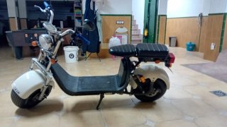 Citycoco 49cc