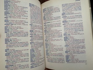 Le Petit Espasa. Diccionario Francés. Edición BBV