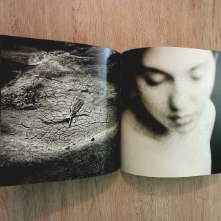 Extraños. Castro Prieto