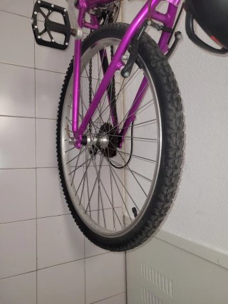 Bicicleta MTB GAC Crown de Aluminio