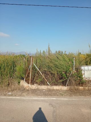 Terreno para huerto en alquiler